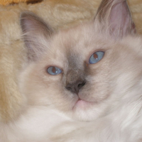 Dis, tu me fais un câlin ?