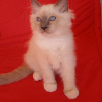 Photo #213766 de Elias