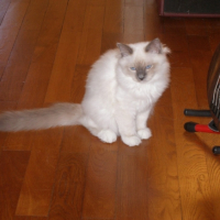 Photo #213768 de Elias