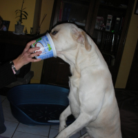 biboulou adore le fromage blanc ;)