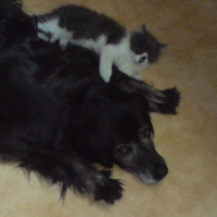 Photo #213792 de Snob
