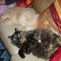 Photo #213839 de Tamara