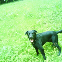 Photo #213855 de Drake
