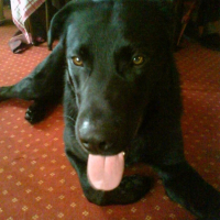 Photo #213914 de Drake