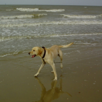 Photo #213931 de Sacha