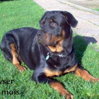 Photo #213949 de Kayser