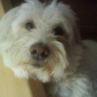 Photo #213978 de Robbyn