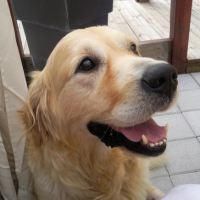 Photo #214045 de Snob