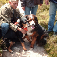 Photo #214052 de Dixie