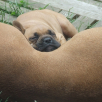 DSCF1659