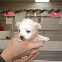 Photo #214091 de Djune