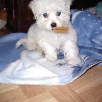 Photo #214093 de Djune