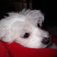 Photo #214094 de Djune