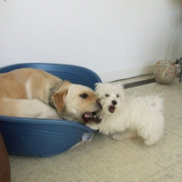 Photo #214095 de Djune