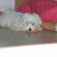 Photo #214097 de Djune