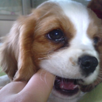 Photo #214142 de Eloem