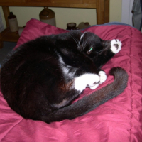 DSCN00251