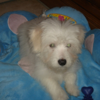Photo #214262 de Cesar