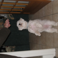 Photo #214267 de Cesar