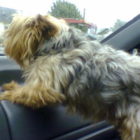 Photo #214354 de Rocky