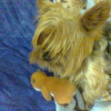 Photo071