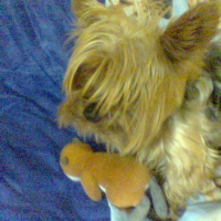 Photo #214355 de Rocky