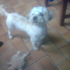 Photo0002