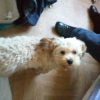 Photo0093