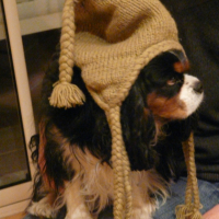 Photo #214466 de Vanille