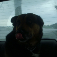 Photo #214484 de Nala