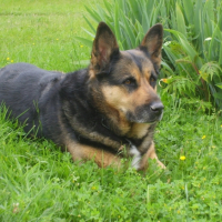 Photo #214485 de Nala