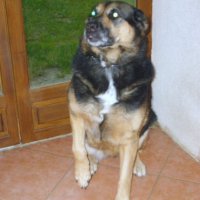 Photo #214486 de Nala
