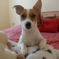 Photo #214487 de Dayka