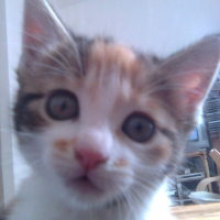 Photo #214565 de Luna