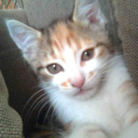 Photo #214566 de Luna