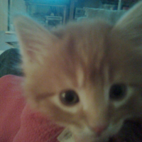 Photo #214568 de Luna