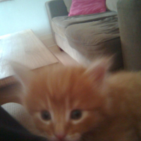 Photo #214569 de Luna