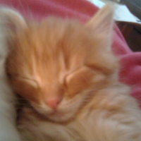 Photo #214570 de Luna