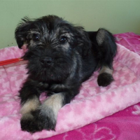 Photo #214640 de Kaly (la houssaie rita)