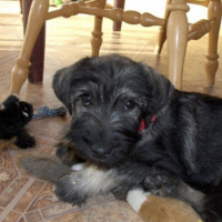 Photo #214642 de Kaly (la houssaie rita)