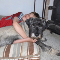 Photo #214643 de Kaly (la houssaie rita)