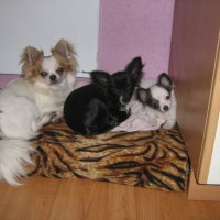 Photo #214676 de Miki et daphné