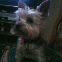 Photo #214686 de Titus