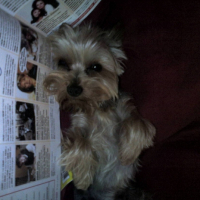 Photo #214689 de Titus