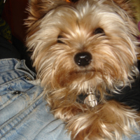 Photo #214690 de Titus