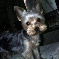 Photo #214692 de Titus
