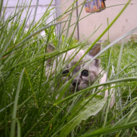 Photo #214753 de Elya