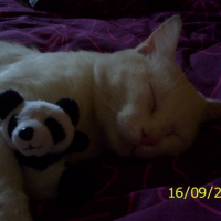Photo #214773 de Bibi