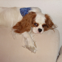 grosse fatigue