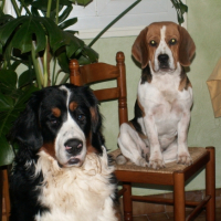 Photo #214833 de Cybelle